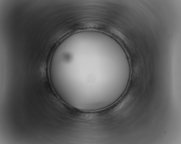 X0000089450778200706291442
