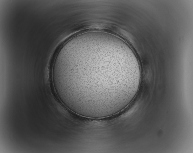 X0000089450779200706291442