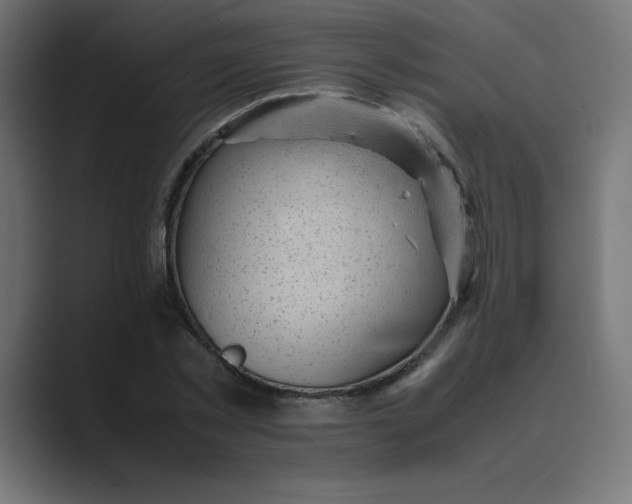 X0000089450781200706291442