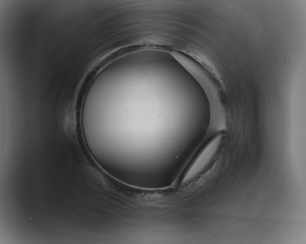 X0000089450784200706291442