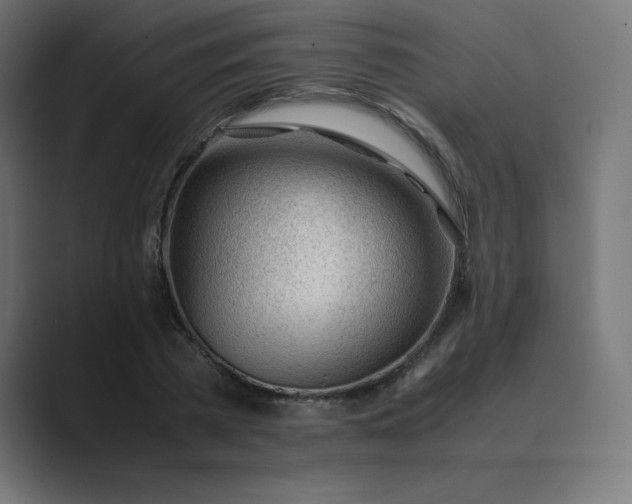 X0000089450785200706291442