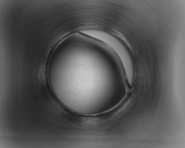 X0000089450786200706291442