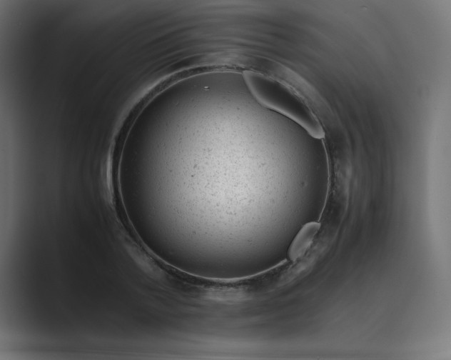 X0000089450788200706291442