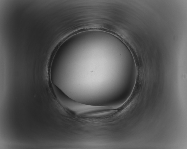 X0000089450789200706291442
