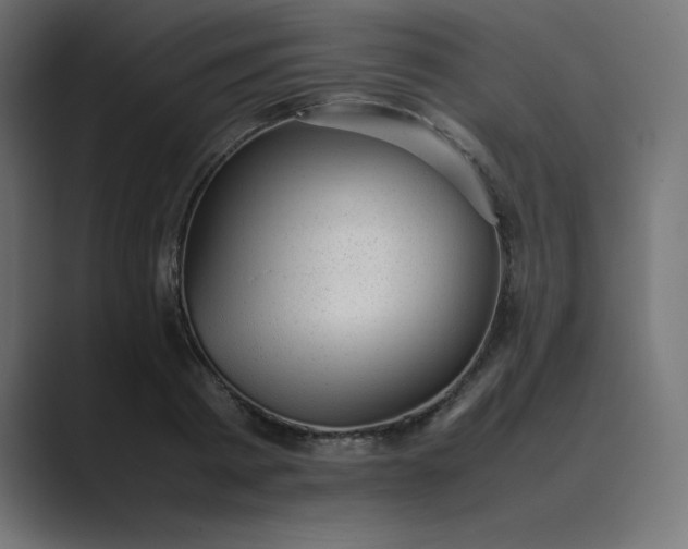 X0000089450793200706291442