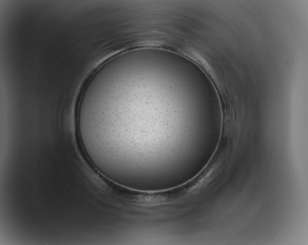 X0000089450795200706291442