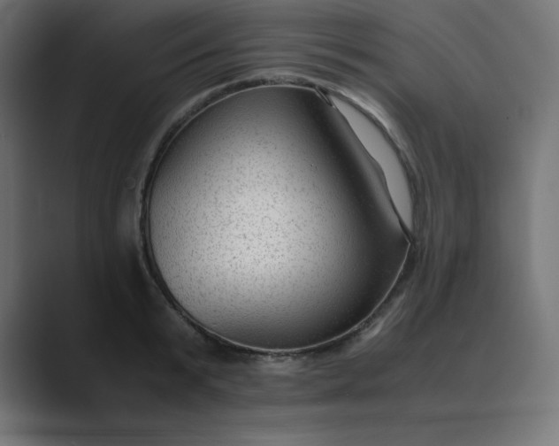 X0000089450799200706291442