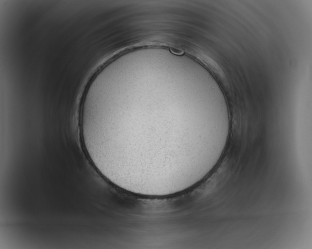 X0000089450800200706291442