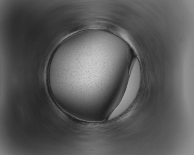 X0000089450803200706291442