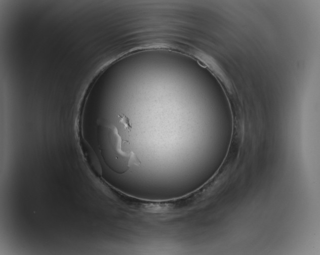 X0000089450805200706291442