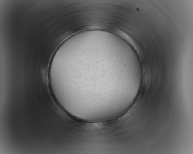 X0000089450810200706291442