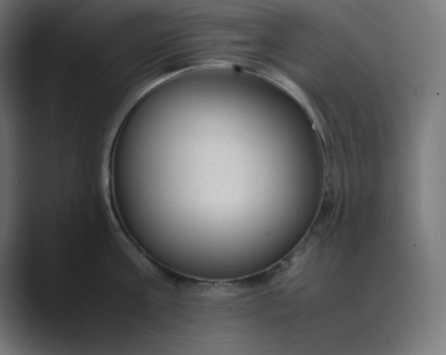 X0000089450811200706291442