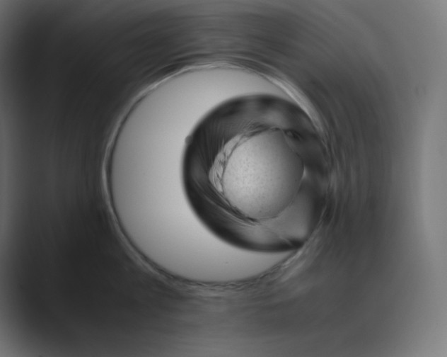 X0000089450813200706291442