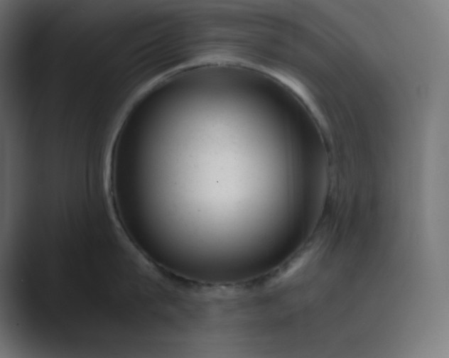 X0000089450815200706291442
