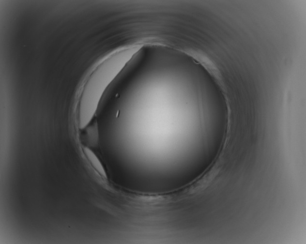 X0000089450816200706291442