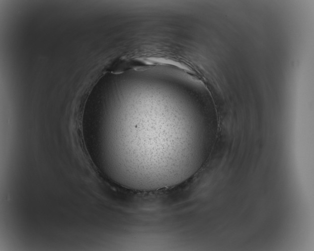 X0000089450817200706291441
