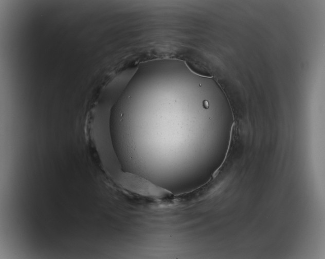 X0000089450818200706291441