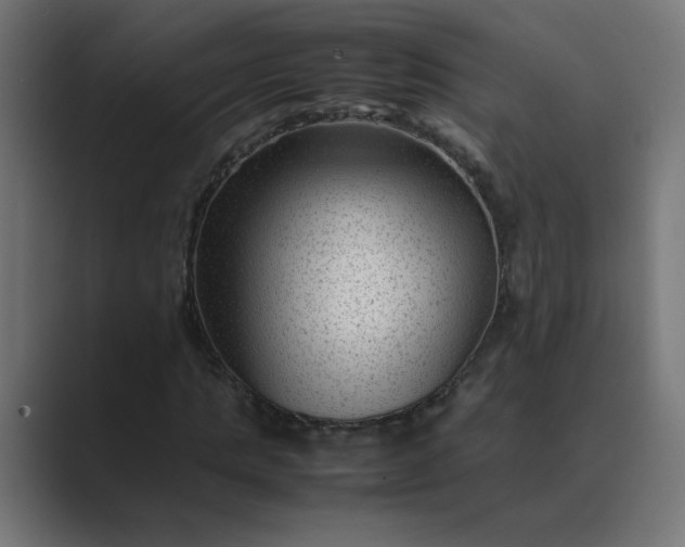 X0000089450821200706291441