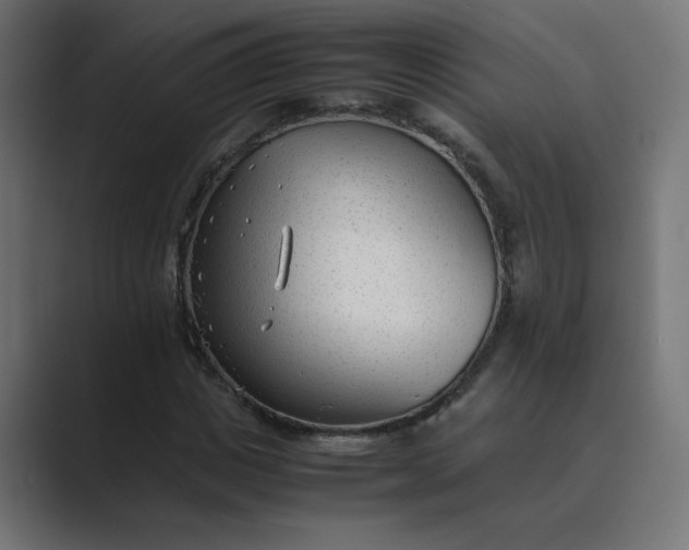 X0000089450825200706291441