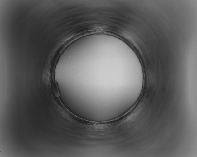 X0000089450827200706291441