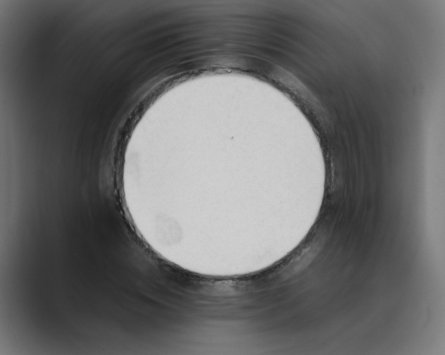 X0000089450828200706291441