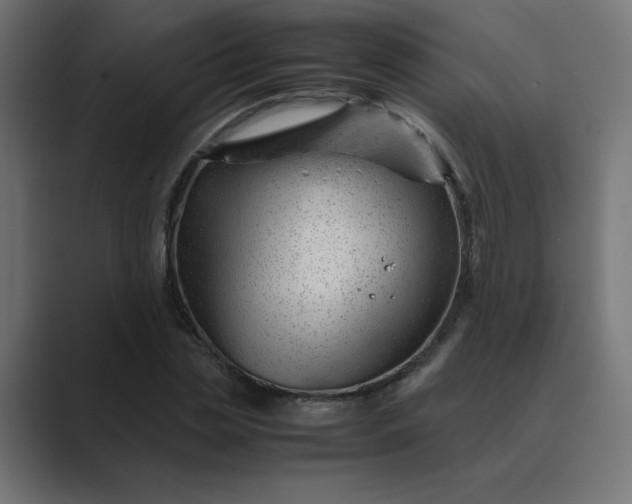 X0000089450829200706291441