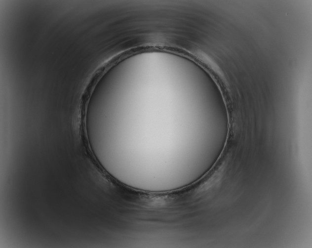 X0000089450831200706291441