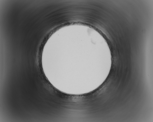 X0000089450832200706291441