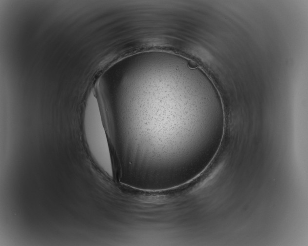 X0000089450833200706291441