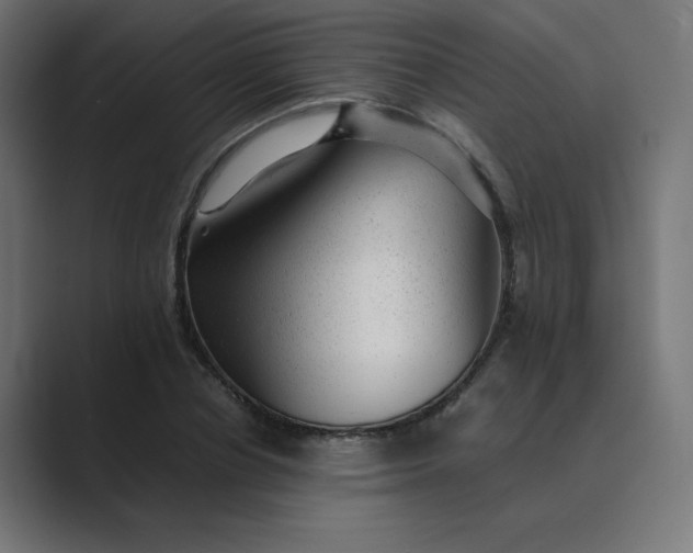 X0000089450834200706291441