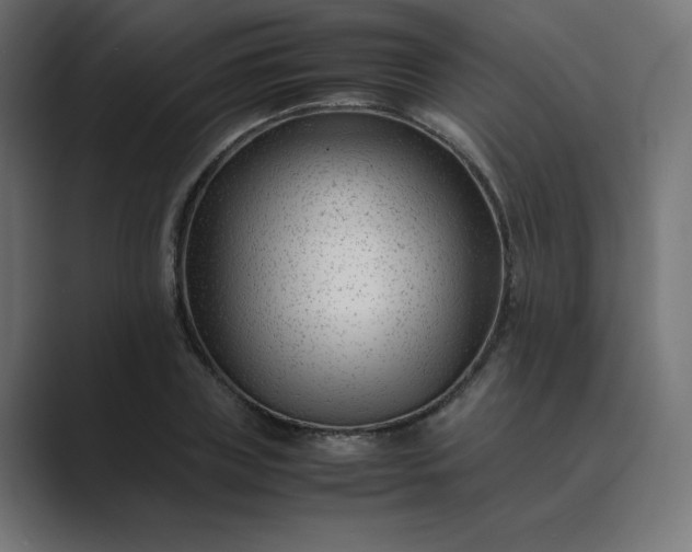 X0000089450835200706291441