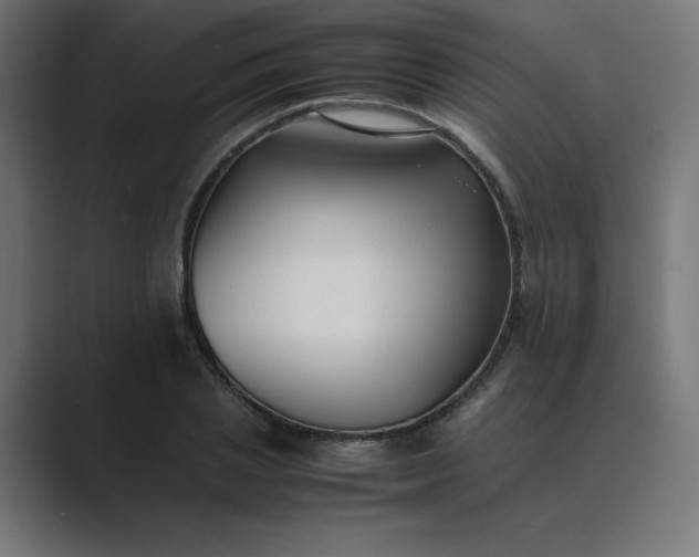X0000089450837200706291442