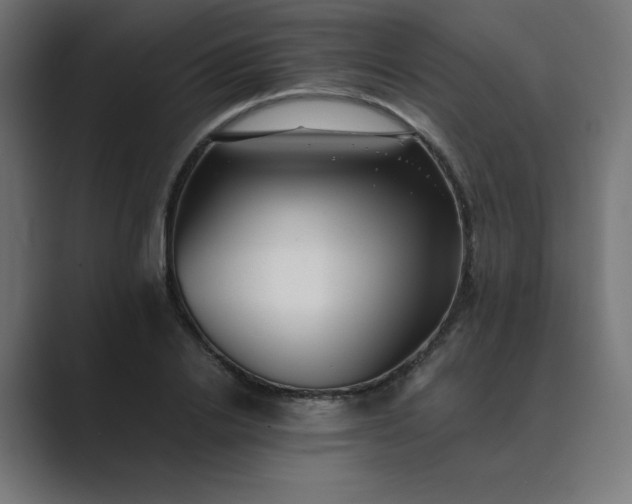 X0000089450838200706291442