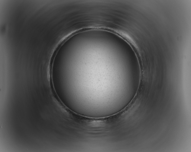 X0000089450839200706291442