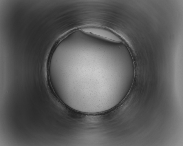 X0000089450840200706291442