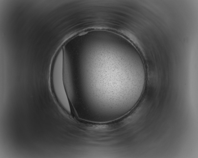 X0000089450845200706291442
