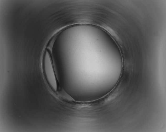 X0000089450846200706291442