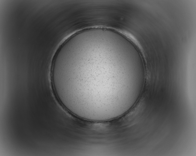 X0000089450847200706291442