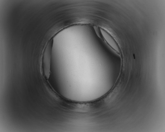 X0000089450850200706291442