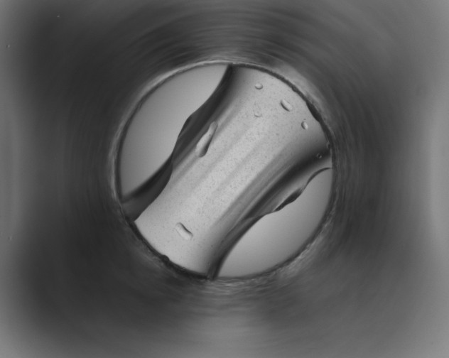 X0000089450854200706291442
