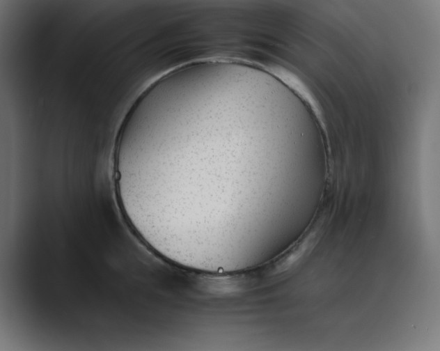 X0000089450855200706291442