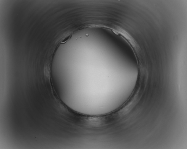 X0000089450857200706291442