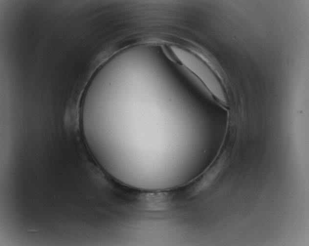 X0000089450858200706291442