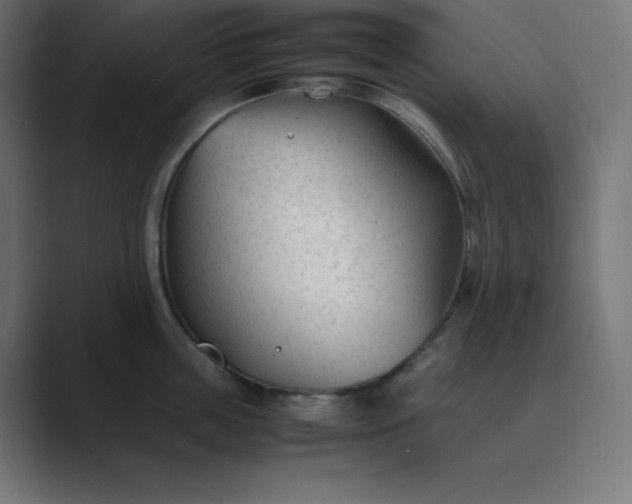 X0000089450859200706291442