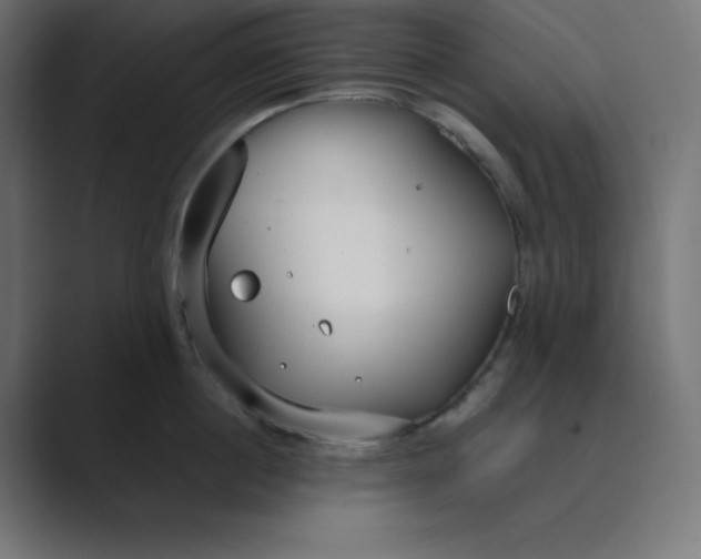 X0000089450860200706291442