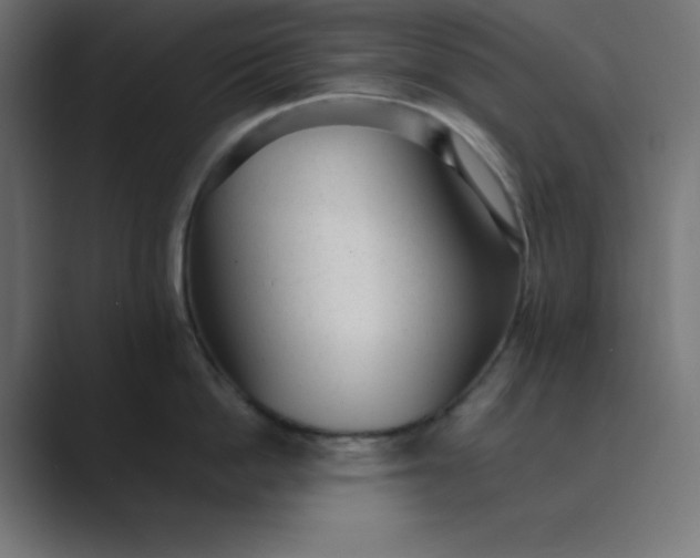 X0000089450862200706291442
