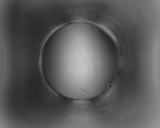 X0000089450863200706291442