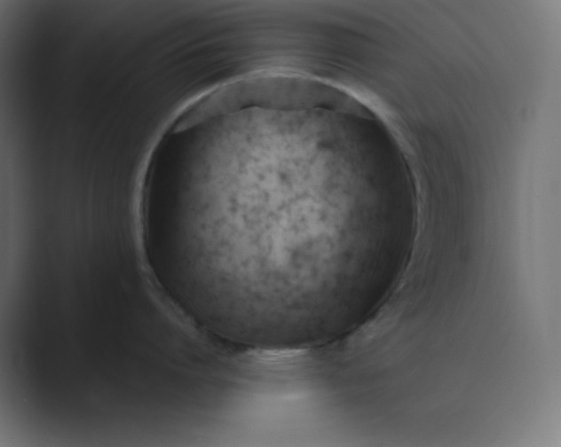 X0000089450864200706291442