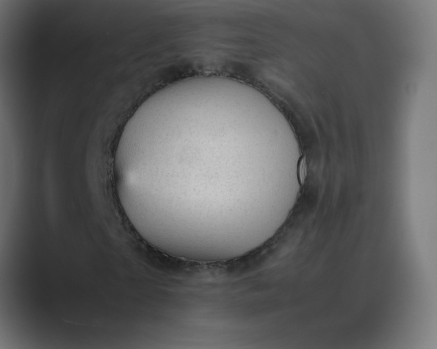 X0000089450865200706291441