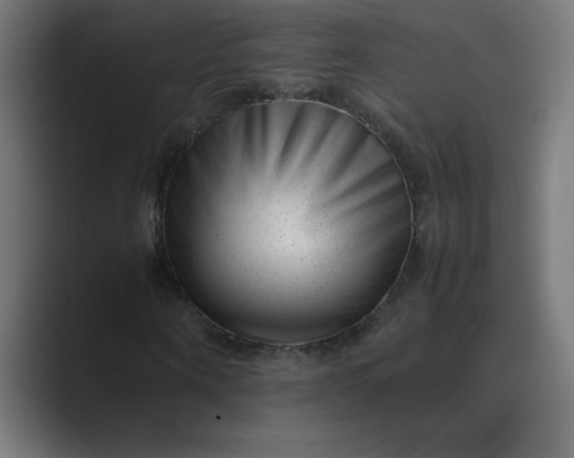 X0000089450866200706291441